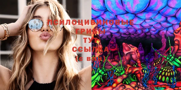 дурь Кулебаки