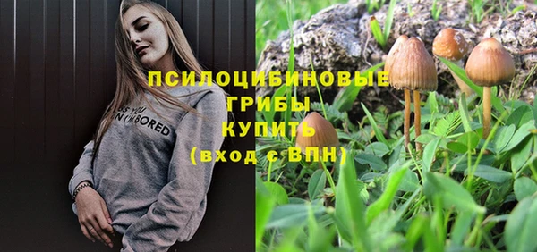 шишки Коряжма