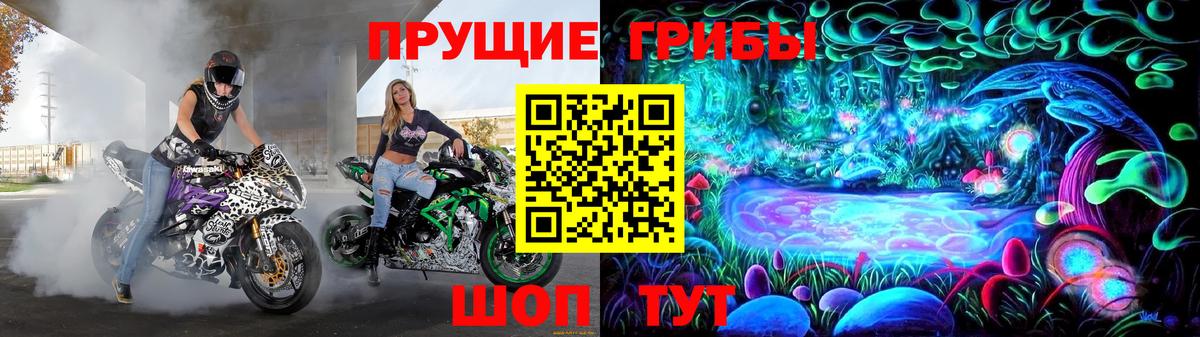 Обь  Псилоцибиновые грибы мухоморы  Вход с VPN 